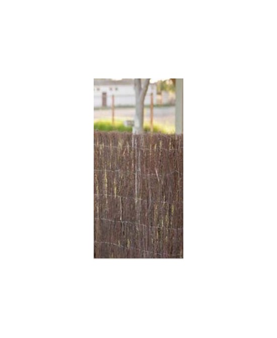 Brezo Nacional 2.00x3M | Seto Natural para Jardín con Alta Ocultación

