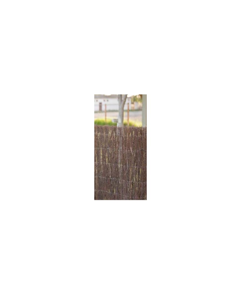 Brezo Nacional 2.00x3M | Seto Natural para Jardín con Alta Ocultación

