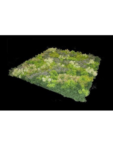 JARDIN VERTICAL ELBA 100X100CM