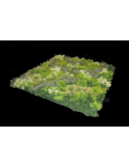 JARDIN VERTICAL ELBA 100X100CM