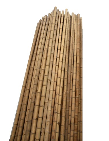 BAMBU DECORATIVO 200CM/10-12CM