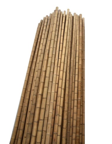 BAMBU DECORATIVO 150CM/10-12CM