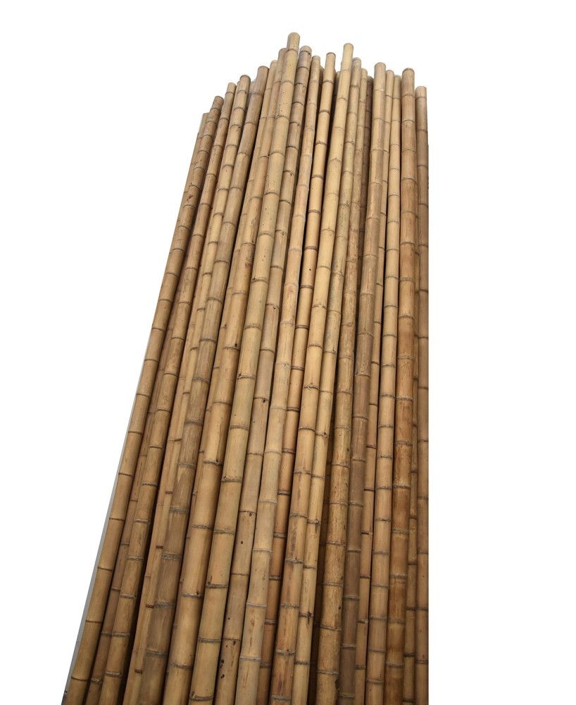 BAMBU DECORATIVO 150CM/12-14CM