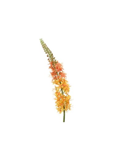 JACINTO DE COLA DE ZORRO EN TALLO L8XW8XH96CM AMARILLO