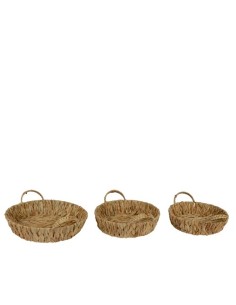 Bandeja Jacinto de Agua Redonda Mediana  Decoración Natural y Sostenible

