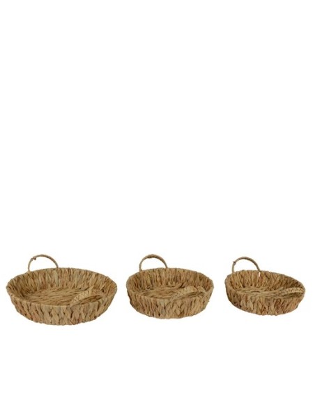 Bandeja Jacinto de Agua Redonda Mediana  Decoración Natural y Sostenible

