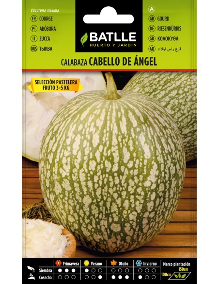 SEMILLA CALABAZA CABELLO DE ANGEL