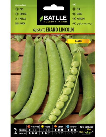 Semillas de Guisante Lincoln 250g | Cultivo Fácil y Productivo en Huertos Urbanos