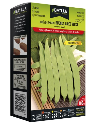 SEMIILLA JUDIA BUENOS AIRES VERDE BATLLE