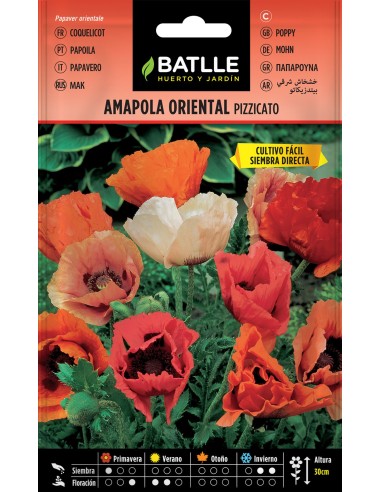 SEMILLA AMAPOLA PIZZICATO