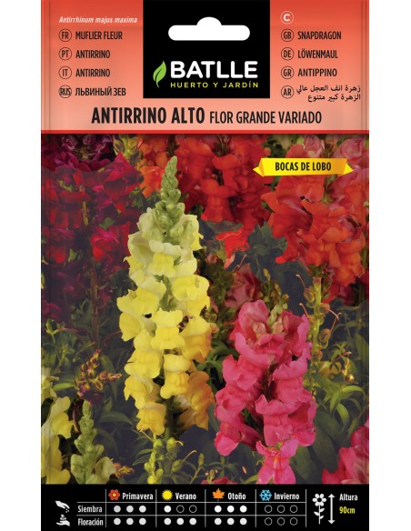 SEMILLA ANTIRRINO ALTO FLOR GRANDE BATLLE