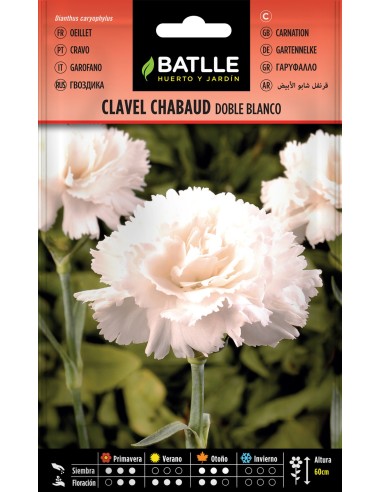 SEMILLA CLAVEL CHABAUD BLANCO BATLLE