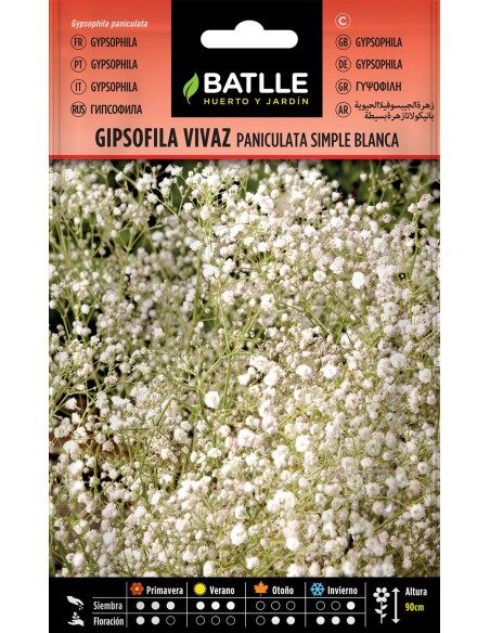 SEMILLAS GIPSOFILA PANICULATA BATLLE