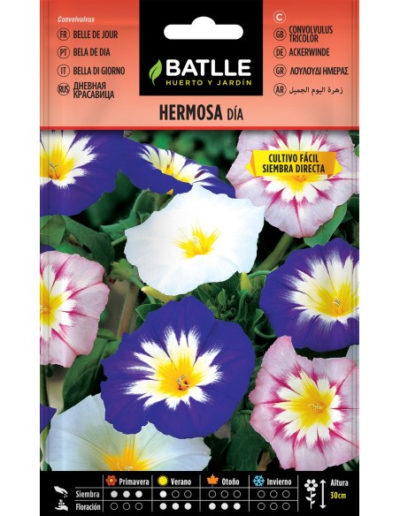 SEMILLA HERMOSA DE DIA