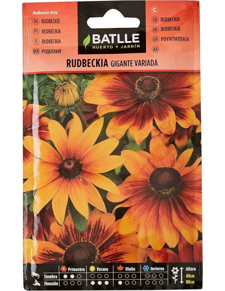 SEMILLA RUDBECKIA GIGANTE MIX