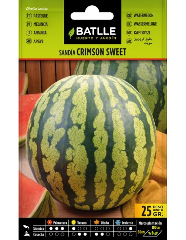SEMILLA ECO SANDIA CRIMSON SWEET BATLLE
