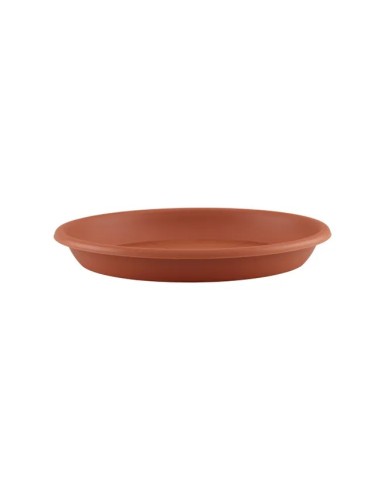 Plato de Terracota 28CM  Protección y Elegancia para Macetas Medianas y Grandes

