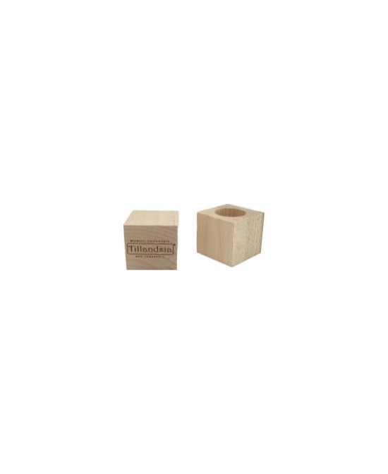 Soporte Tillandsia Essenziale S Madera de Haya 40x40x40mm  Elegancia Natural para Plantas Aéreas

