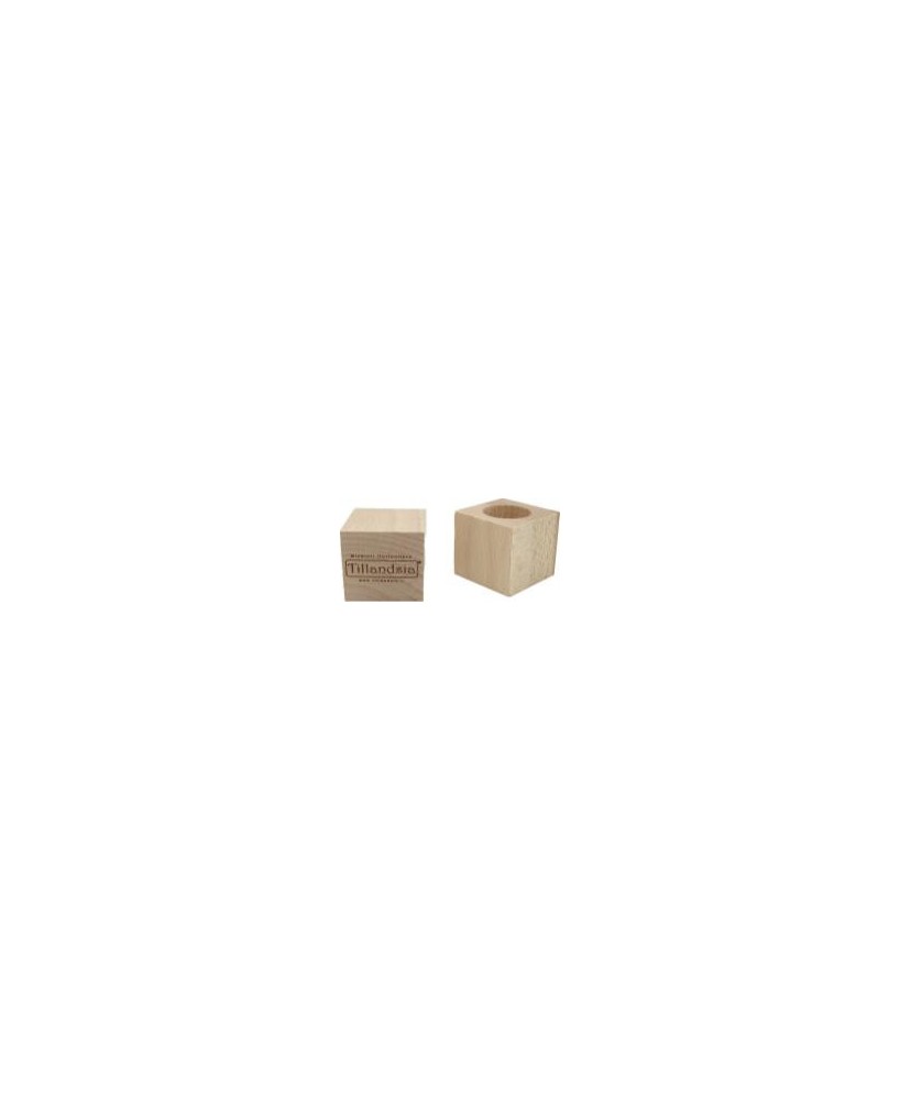 Soporte Tillandsia Essenziale S Madera de Haya 40x40x40mm  Elegancia Natural para Plantas Aéreas

