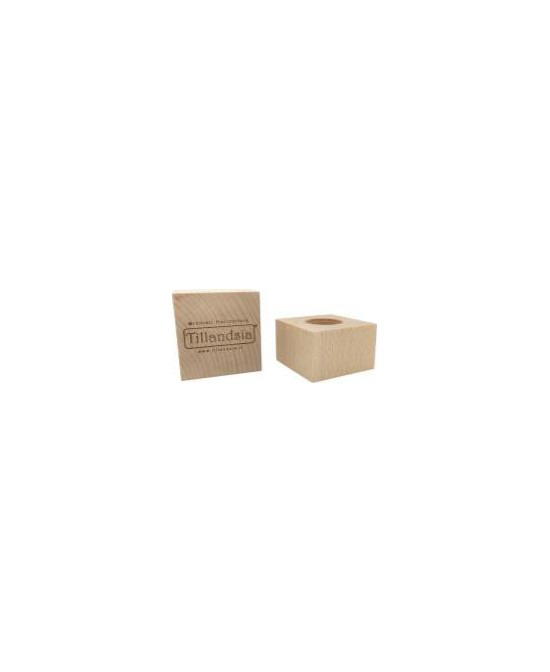 Soporte Tillandsia Essenziale L Madera de Haya 70x70x70mm  Base Elegante para Plantas Aéreas

