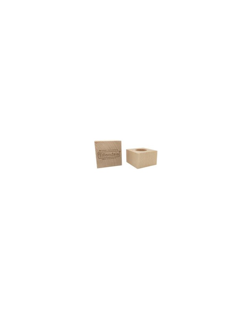 Soporte Tillandsia Essenziale L Madera de Haya 70x70x70mm  Base Elegante para Plantas Aéreas

