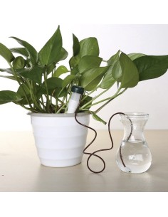 CONO CERAMICO RIEGO PLANTAS 2