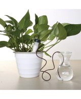 CONO CERAMICO RIEGO PLANTAS