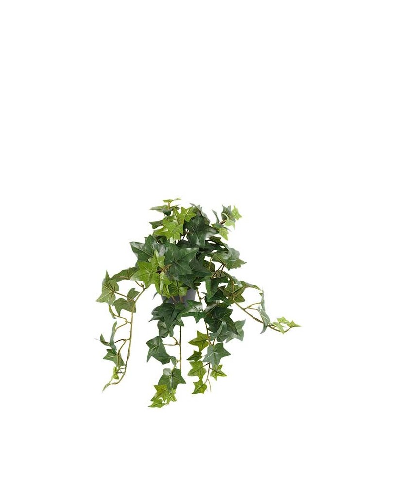 MUGRONA 45CM