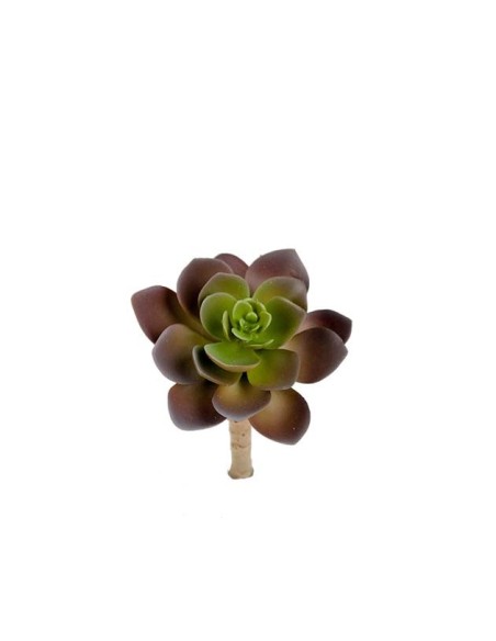 SUCCULENTEN
