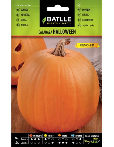 Semillas de Calabaza Nutritivas para Aves y Roedores | Endanea Garden