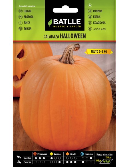 Semillas de Calabaza Nutritivas para Aves y Roedores | Endanea Garden