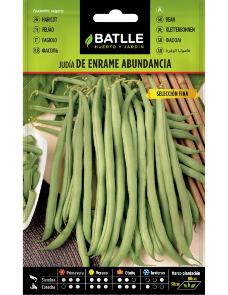 SEMILLA JUDIA ABUNDANCIA 250GR