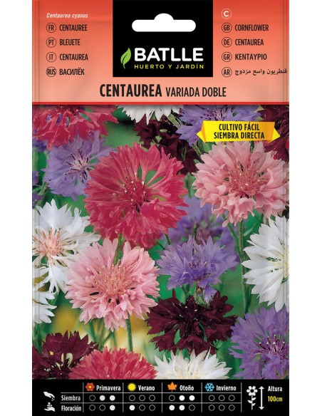 SEMILLA CENTAUREA VARIADA DOBLE BATLLE
