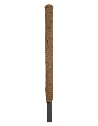 Tutor Fibra de Coco BRICOMED 80 cm  Soporte Natural para Plantas Trepadoras | Endanea Garden

