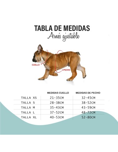 Bull Arnés Regulable Fun Walk Talla L | Comodidad y Seguridad para Perros Grandes | Endanea Mascotas