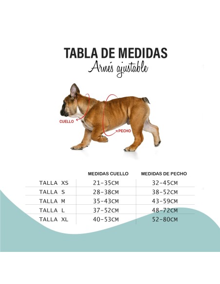 Bull Arnés Regulable Fun Walk Talla L | Comodidad y Seguridad para Perros Grandes | Endanea Mascotas