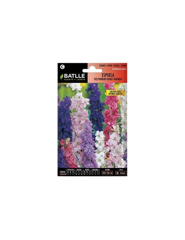 SEMILLA ESPUELA DELPHINIUM DOBLE BATLLE