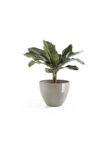 Tiestos Antwerp 40 Taupe | Macetero Elegante y Resistente para Jardín y Terraza

