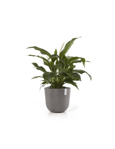 Jardinera OSLO 45 Taupe  Tiesto Elegante y Resistente para Jardín y Terraza | Endanea Garden

