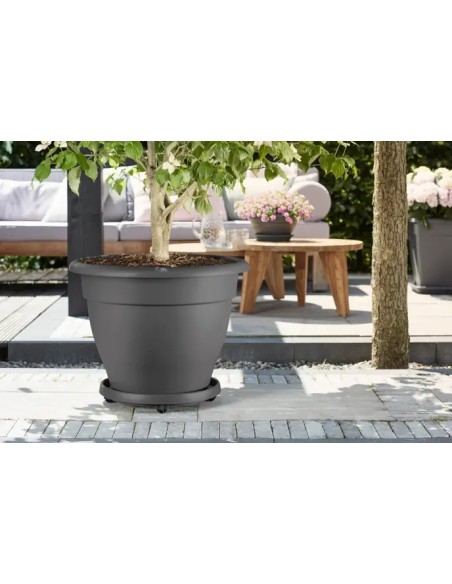 PLATO CON RUEDAS UNIVERSAL 35CM ANTRACITA