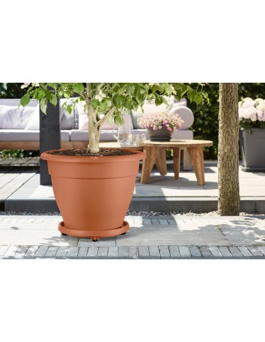 PLATO CON RUEDAS UNIVERSAL 35CM TERRA