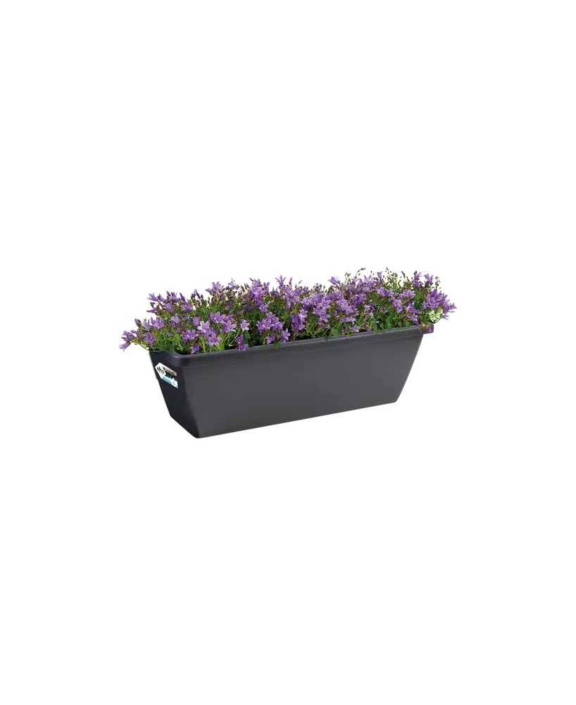 Jardinera Barcelona 70 cm Antracita | Decoración Moderna para Terrazas y Balcones | Endanea Garden