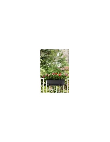 Plato Barna XL 80 cm Antracita | Endanea Garden

