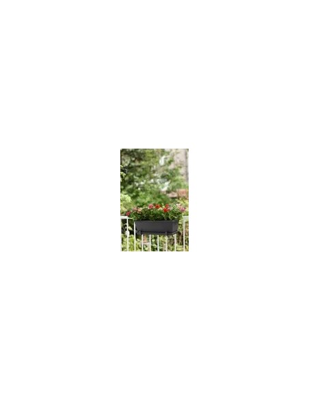 Plato Barna XL 80 cm Antracita | Endanea Garden

