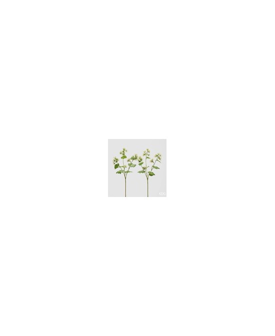 ALCHEMILLA RAMO CON FLOR VERDE MIX