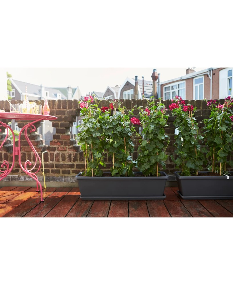 Jardinera Barna XL 80 cm Antracita | Maceta Grande para Interiores y Exteriores | Endanea Garden