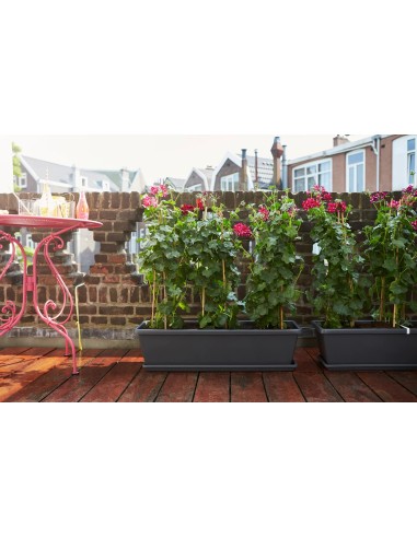 Jardinera Barna XL 80 cm Antracita | Maceta Grande para Interiores y Exteriores | Endanea Garden