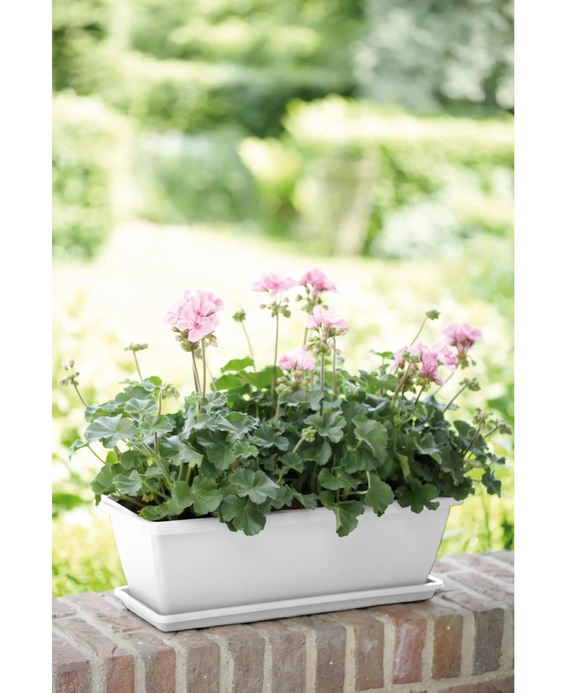 PLATO BARCELONA 70CM BLANCO