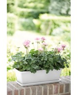 PLATO BARCELONA 70CM BLANCO