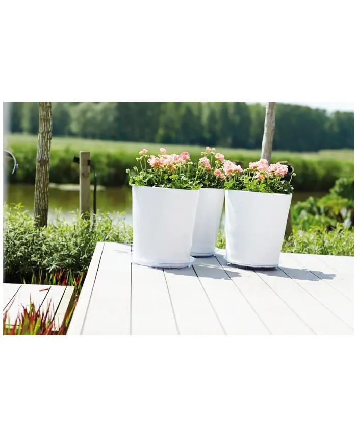 PLATO UNIVERSAL REDONDO 18CM TRANSPARENTE